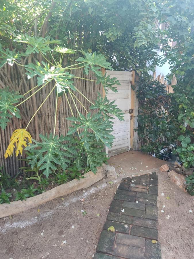 Casa Tonantzin Hotell Zipolite Eksteriør bilde